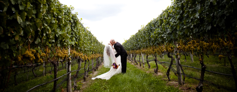 Pellegrini Vineyards Wedding