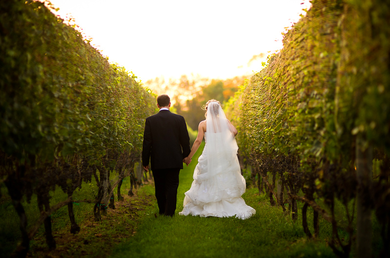 The Old Field Vineyards Wedding